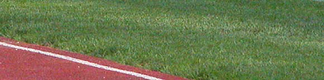 Patienteninformationen der Orthop&auml;dischen Gemeinschaftspraxis